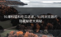 91爆料猛料吃瓜这波，91网浏览器的隐藏秘密大揭秘