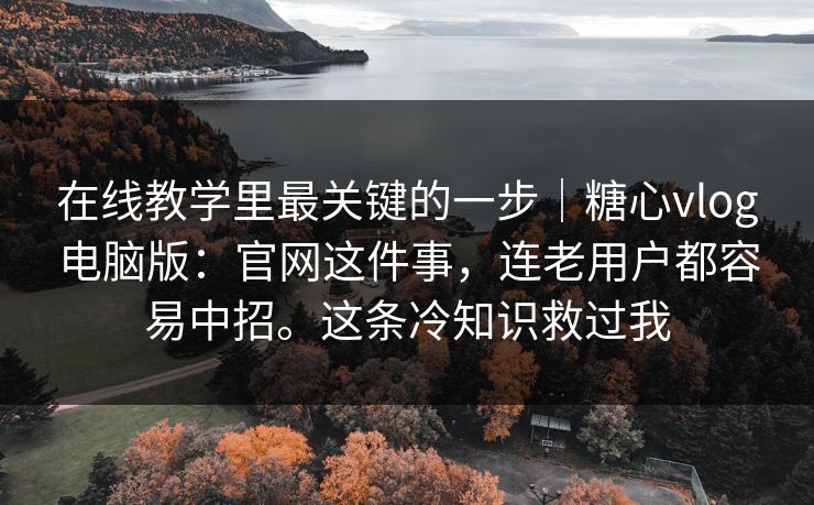 在线教学里最关键的一步|糖心vlog电脑版:官网这件事,连老用户都容易中招。这条冷知识救过我 第1张 在线教学里最关键的一步|糖心vlog电脑版:官网这件事,连老用户都容易中招。这条冷知识救过我 第1张